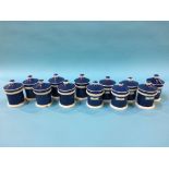 Twelve blue and white chemist jars