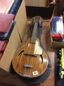 A Mandolin and case