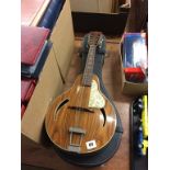 A Mandolin and case