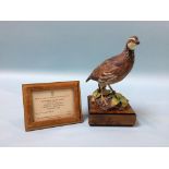 A Royal Worcester porcelain 'Bob-white Quail Male' by R. Van Ruyckevelt, with certificate and a