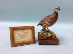 A Royal Worcester porcelain 'Bob-white Quail Male' by R. Van Ruyckevelt, with certificate and a