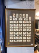 Framed Players cigarette cards 'Dogs'