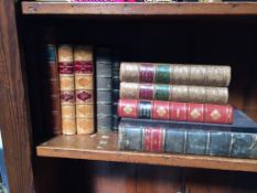 Collection of leather bound books