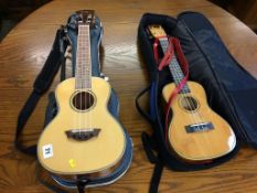 A VTAB Ukulele and a Moselele Ukulele, cased