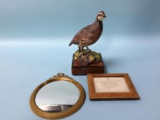 A Royal Worcester porcelain figure 'Bob White Quail Male' and a small mirror