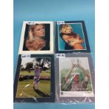 Signed photos, Paris Hilton, Caprice (2), Amanda Decadanet, Donna D'Errico, Elle Macpherson, Tom