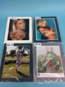 Signed photos, Paris Hilton, Caprice (2), Amanda Decadanet, Donna D'Errico, Elle Macpherson, Tom