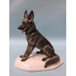 A Continental porcelain figure of an Alsatian dog