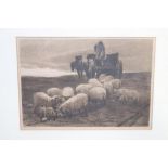 Engraving by C. O. Murray, 'Farmer feeding his sheep', 19cm x 27cm
