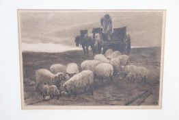 Engraving by C. O. Murray, 'Farmer feeding his sheep', 19cm x 27cm