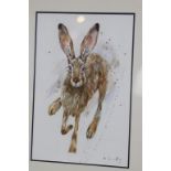 Anna Swift, watercolour, signed, 'Wild Hare', (Gallery label to verso), 28cm x 40cm