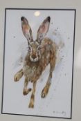 Anna Swift, watercolour, signed, 'Wild Hare', (Gallery label to verso), 28cm x 40cm