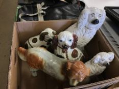Five Staffordshire dogs