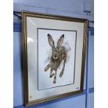 Anna Swift, Watercolour, signed, gallery and authenticity label to verso, 'Wild Hare', 28cm x 40cm