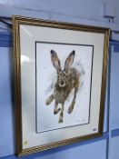 Anna Swift, Watercolour, signed, gallery and authenticity label to verso, 'Wild Hare', 28cm x 40cm