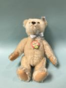 A Steiff replica 1953 Teddy Bear, with white tag, number 408489, white mohair and chest tag, 25cm