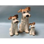 A set of three Sylvac graduating dogs