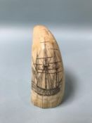 A Scrimshaw tooth