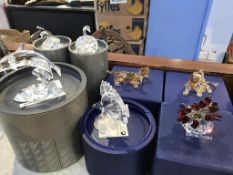 Seven boxed Swarovski figures, to include two swans, two lions, dolphin, angel fish, and flowers (