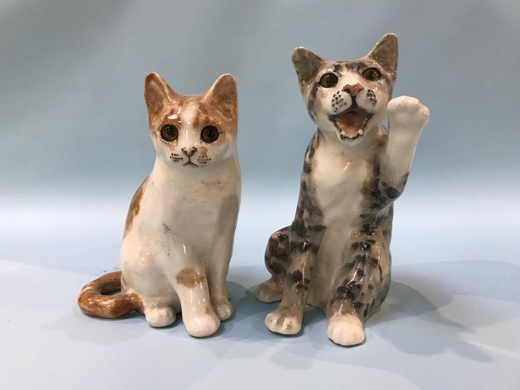 Two seated Winstanley cats