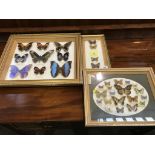 Three sets of cased butterflies