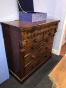 A walnut scotch chest of drawers