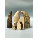 A collection of walrus tusks and whale teeth