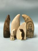 A collection of walrus tusks and whale teeth
