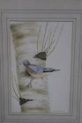 Chris Sparrow, pair, watercolour, signed, dated '**77', 'Birds Resting', 24 x 15cm