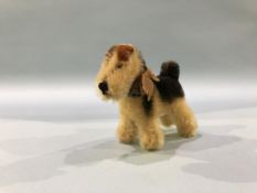 A Steiff 1950s Terry Airedale Terrier dog, with button, golden mohair with black patches, glass