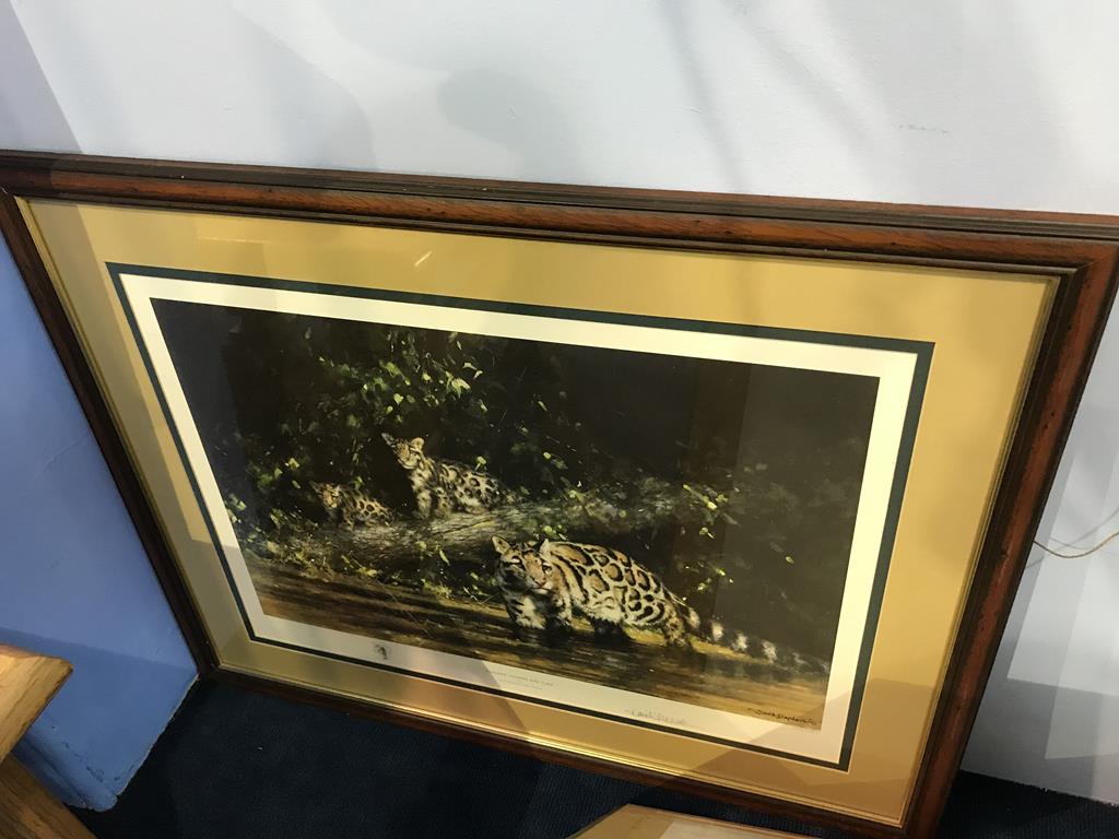 Two David Shepherd, signed, limited edition prints, 'Elephant Seals', and 'Clouded Leopard and - Image 2 of 3