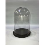 A modern Perspex dome, 40cm height