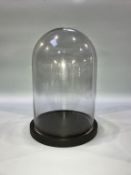 A modern Perspex dome, 40cm height
