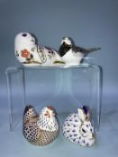 Four Royal Crown Derby paperweights, 'Seal', 'Hen', 'Rabbit', and a bird