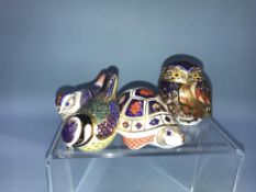 Four Royal Crown Derby paperweights, to include 'Blue Tit', 'Owl', 'Tortoise', and a 'Thrush' (4)