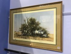 David Shepherd, signed, limited edition print, 'Arabian Oryx', Solomon and Whitehead blind stamp, 52