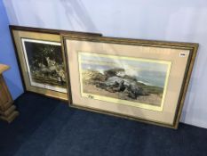 Two David Shepherd, signed, limited edition prints, 'Elephant Seals', and 'Clouded Leopard and