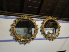 A pair of ornate gilt, circular mirrors, decorated with scrolls and shells, 70cm diameter