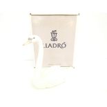 Large Lladro swan boxed height 21 cm