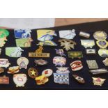 Collection of speedway badges