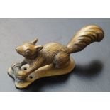 Brass squirrel door knocker