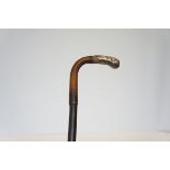 Walking cane with silver tip