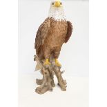 Very large resin model on a bald eagle - some repa