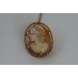 9ct Gold cameo brooch/pendant