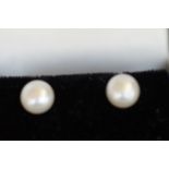 18ct Gold & pearl earrings