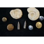 2x Fossils, 2 Bullets & military badges