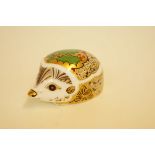 Royal crown derby hedgehog Holly