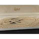 Boxed Lotus pearls