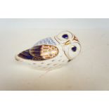 Royal crown derby owl (firsts)