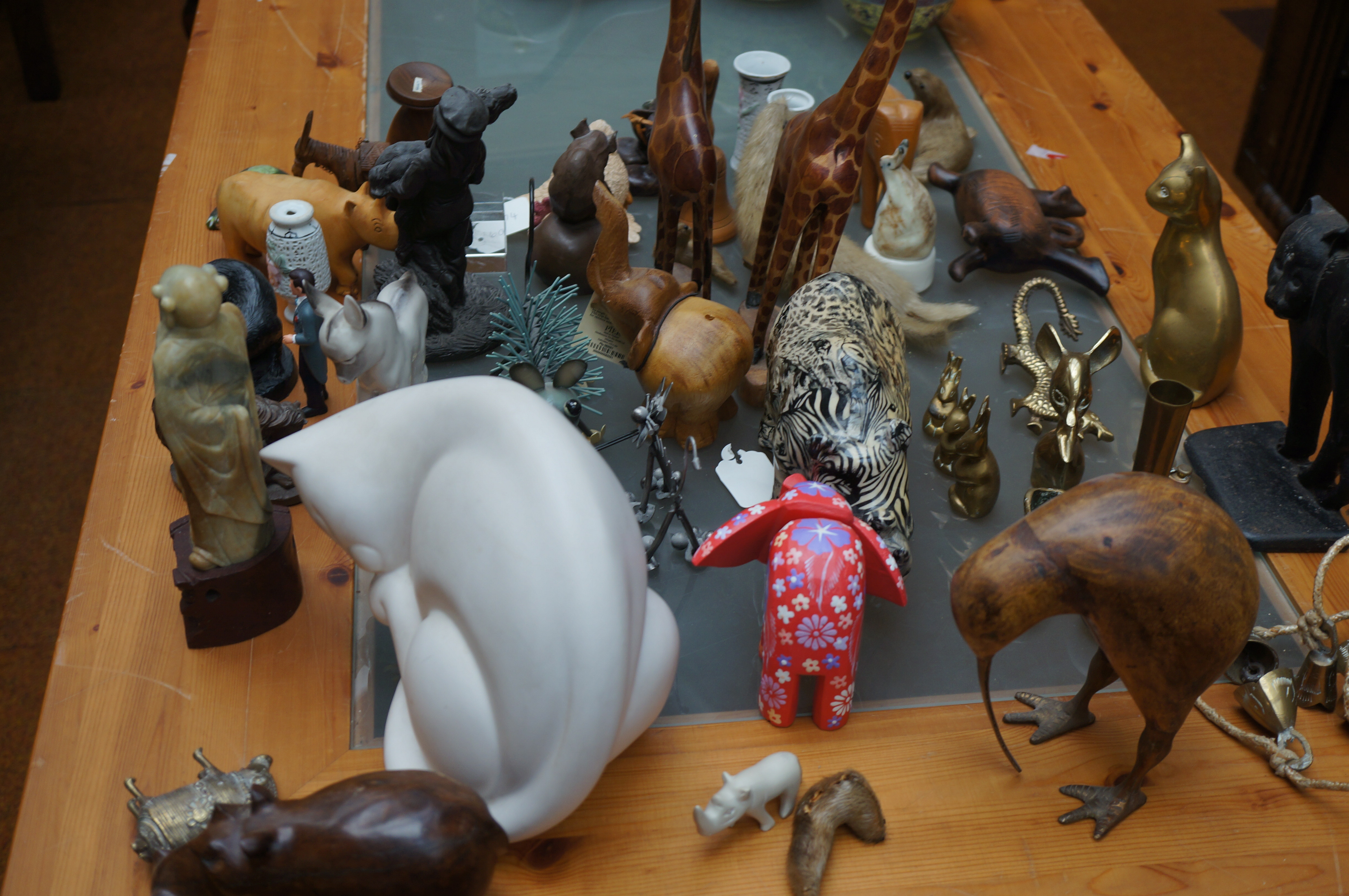 Collection of model animals